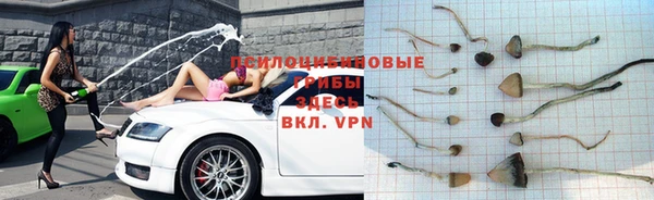 прущая мука Баксан