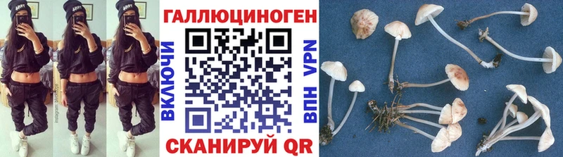 Псилоцибиновые грибы Cubensis  Лагань 